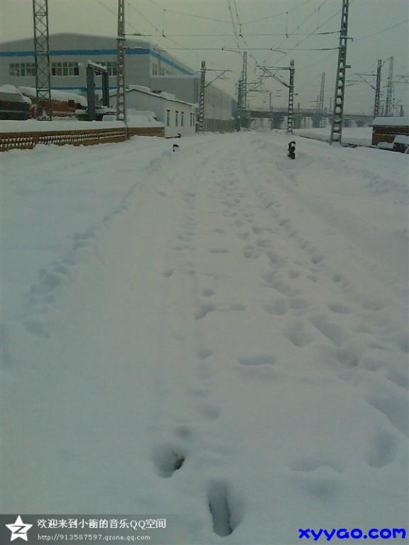 02.jpg