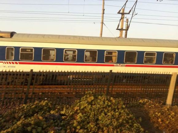 DF11T2364.jpg