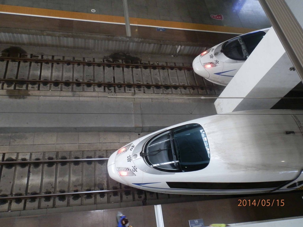 P5150758.JPG