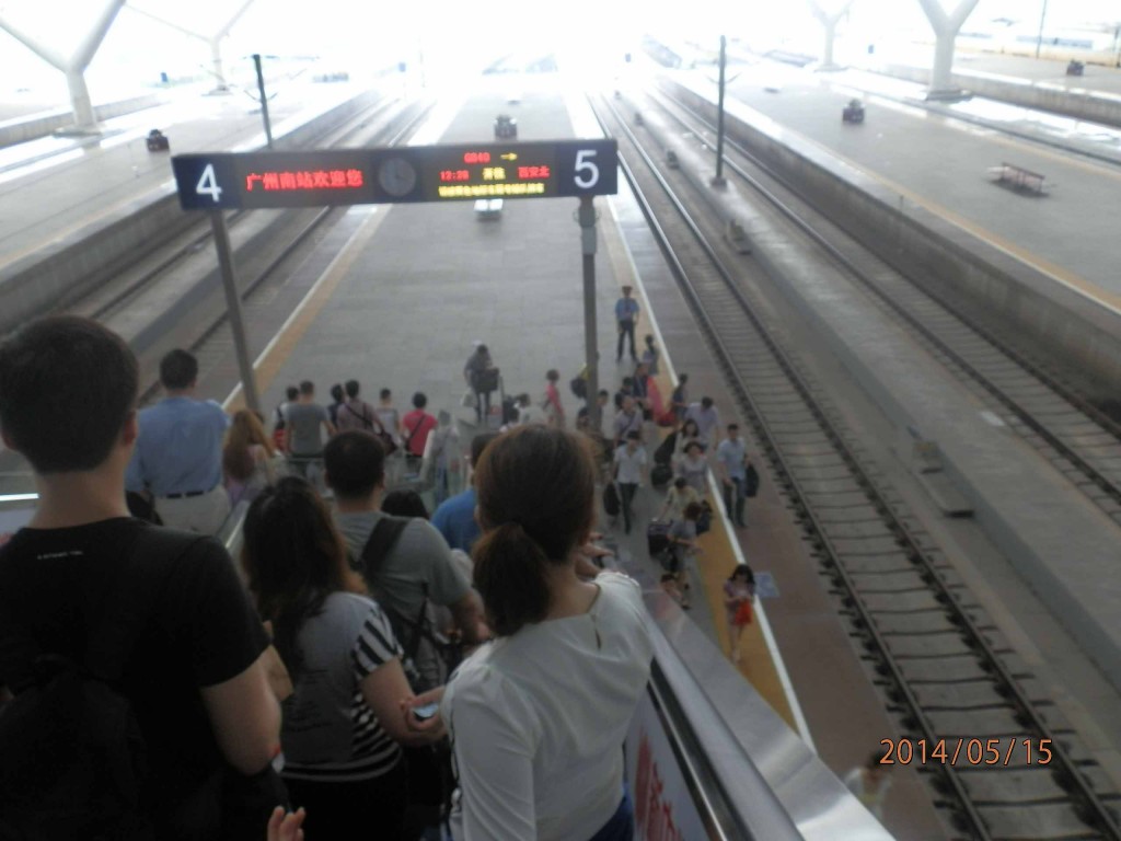 P5150760.JPG