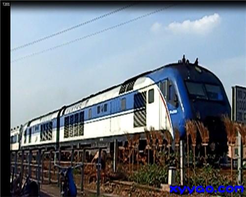 T201.jpg