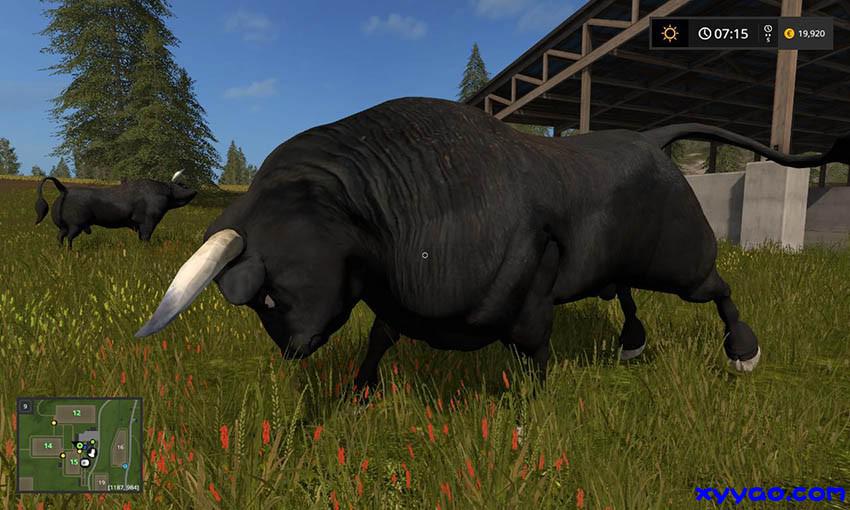 Black-Bull-v1.03.jpg