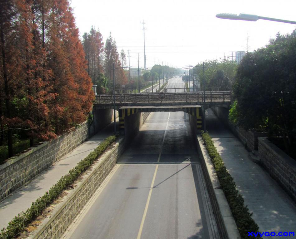 701.jpg