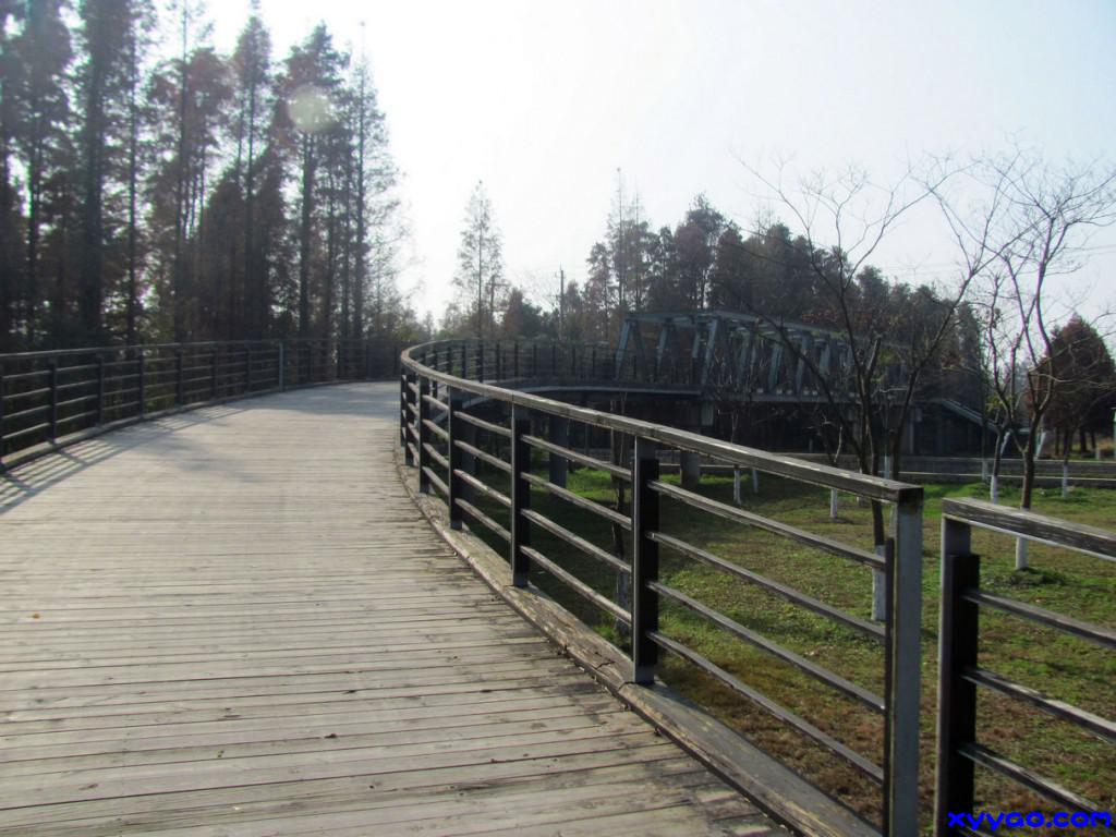NMG_2971.jpg