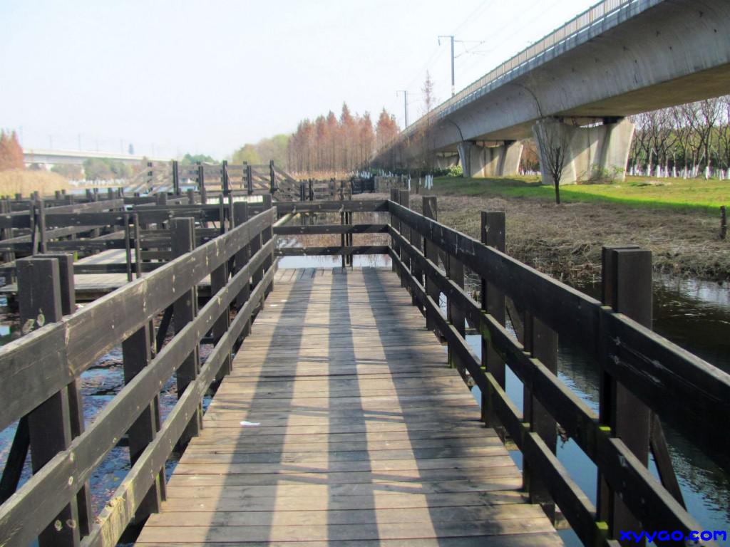715.jpg