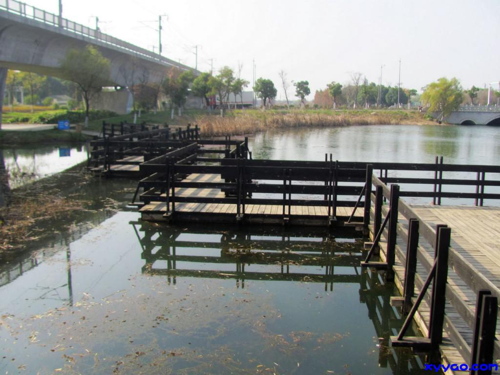 725.jpg