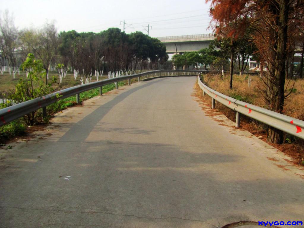 267.jpg