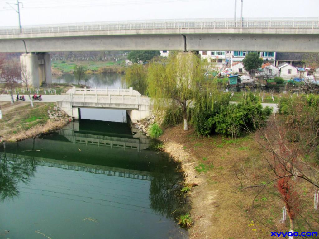 271.jpg