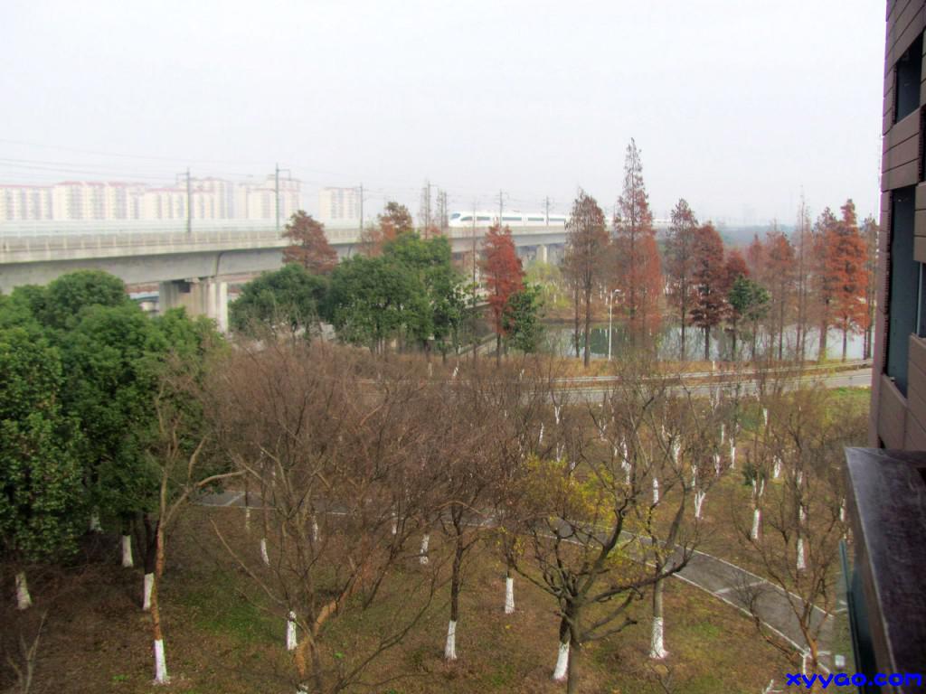 276.jpg