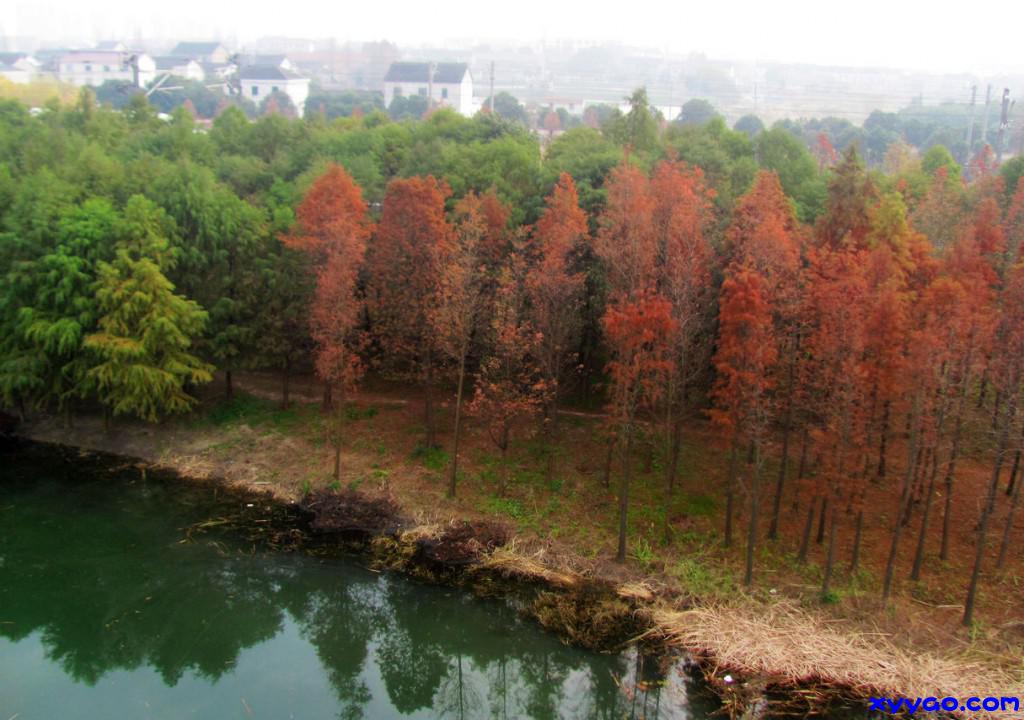 278.jpg
