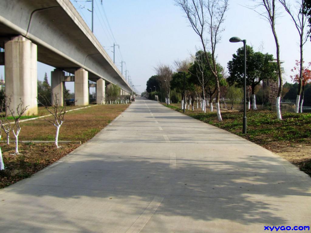 750.jpg