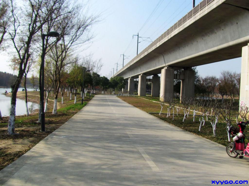 753.jpg
