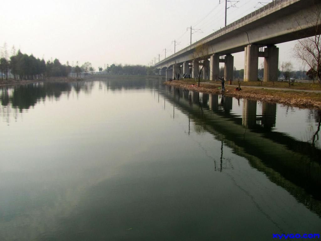 294.jpg