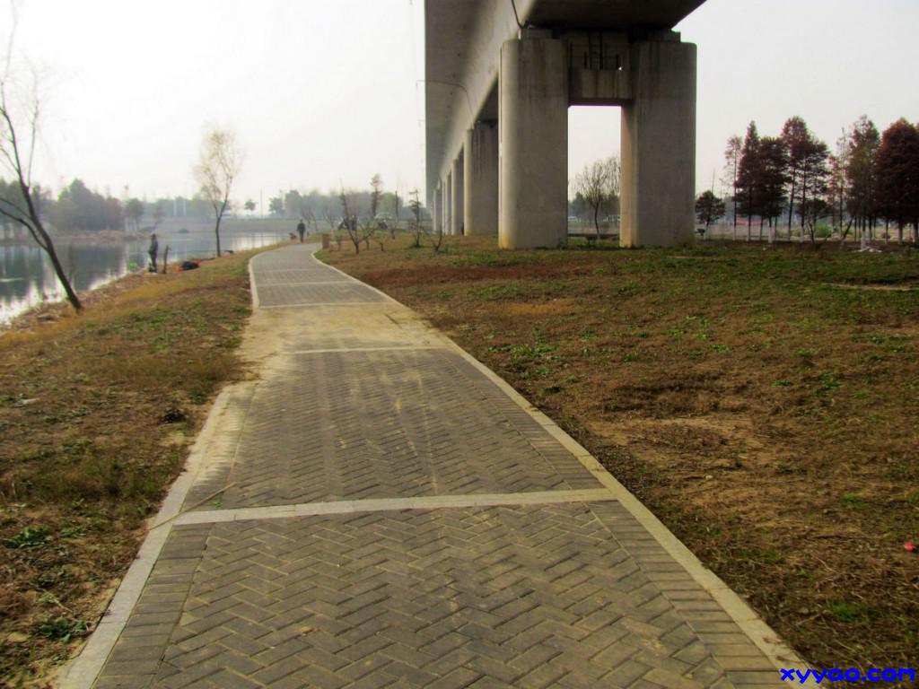 299.jpg