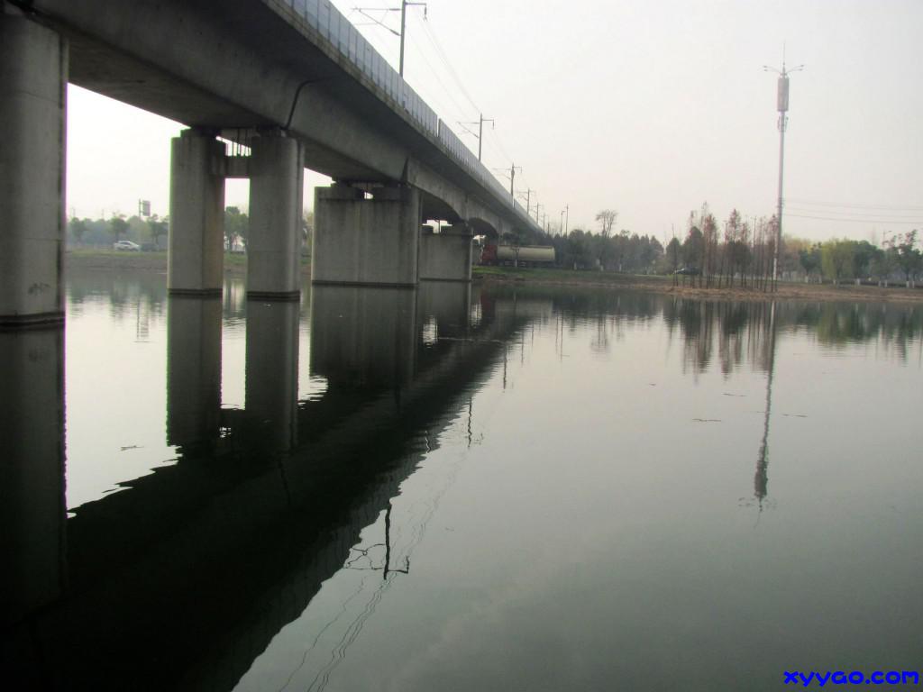 306.jpg