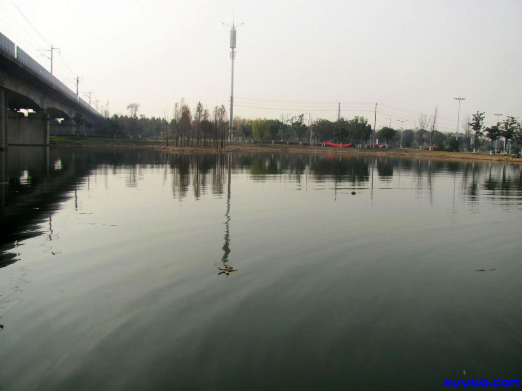 309.jpg