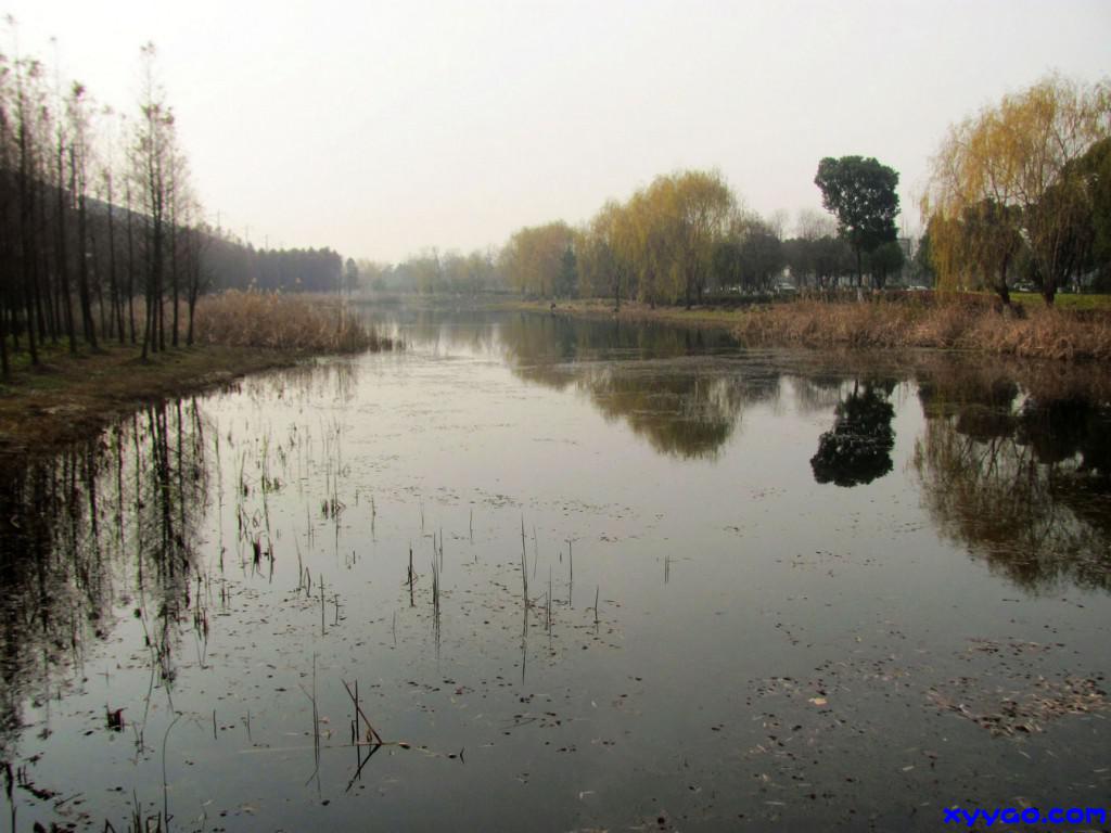 313.jpg