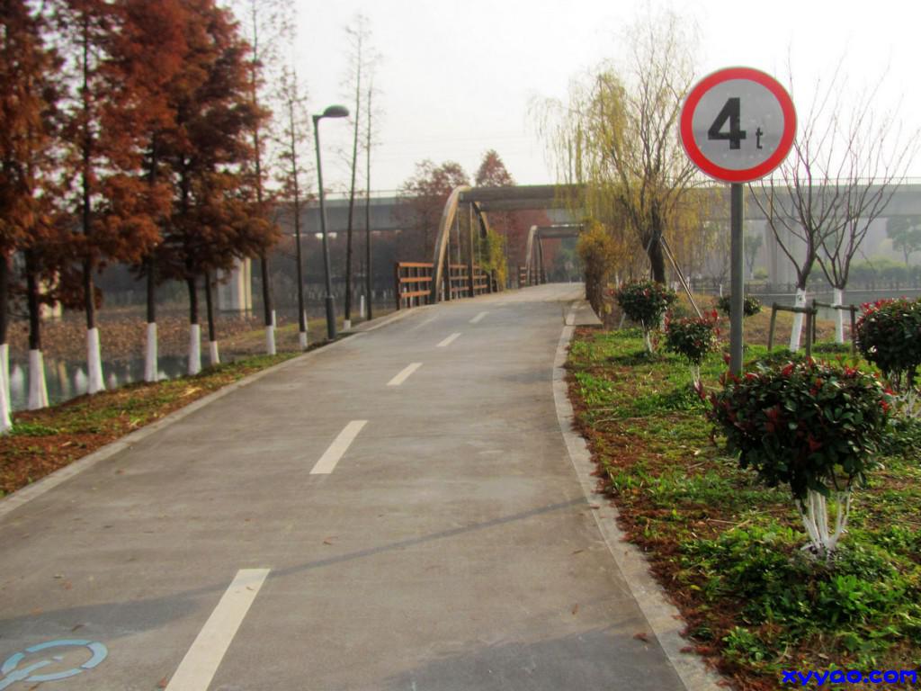 315.jpg