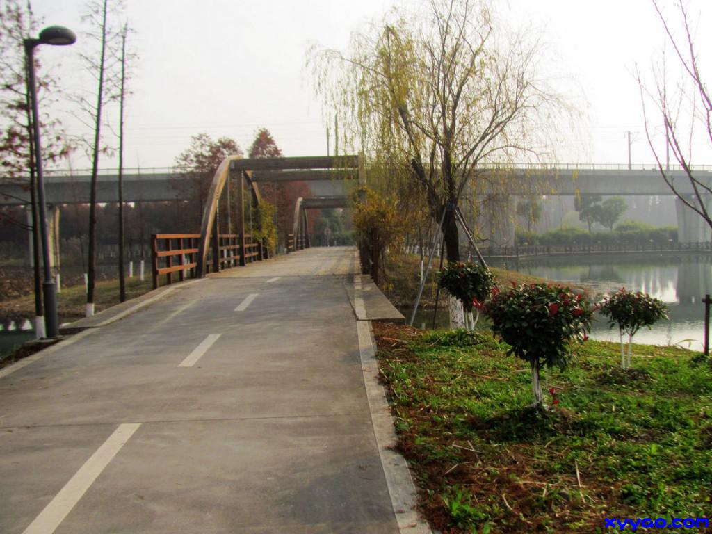 316.jpg