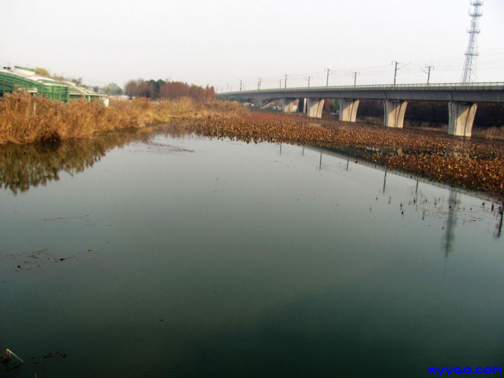 318.jpg