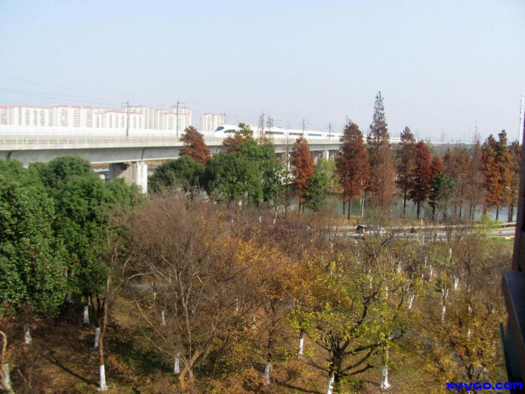 768.jpg